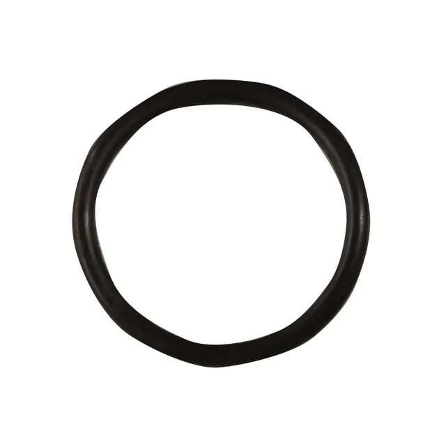 la-siesta-949088-o-ring-ricambio-originale-casamount image 1