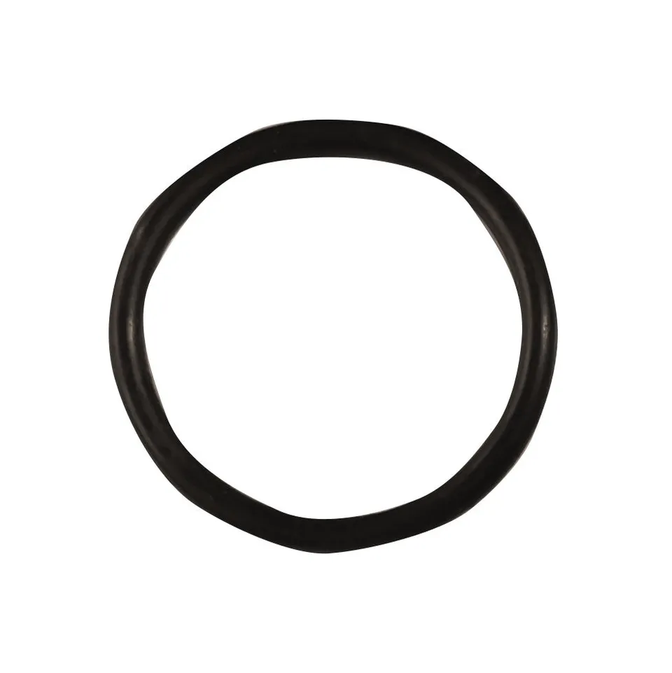 la-siesta-949088-o-ring-ricambio-originale-casamount image 1