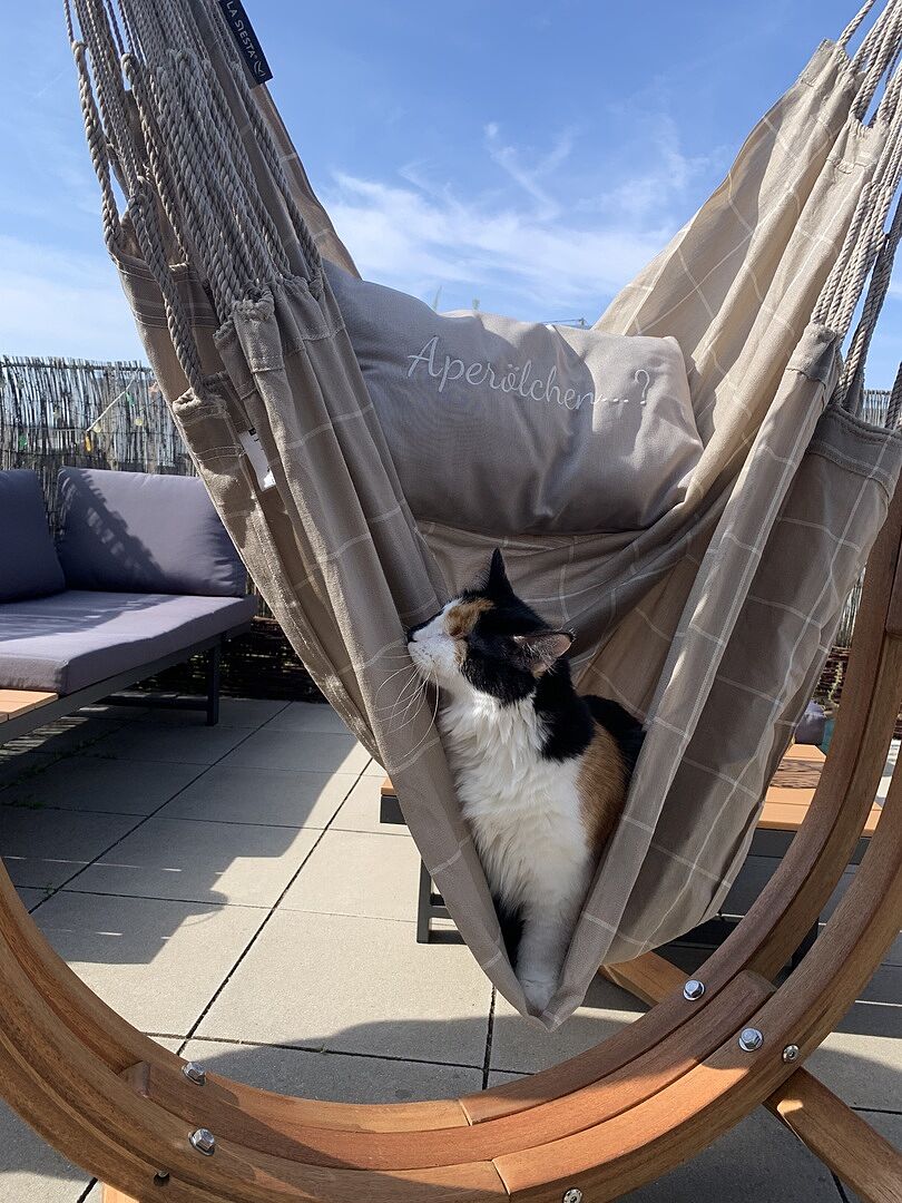 Il paradiso in terrazza